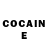 COCAIN Fish Scale Olga Sestaka