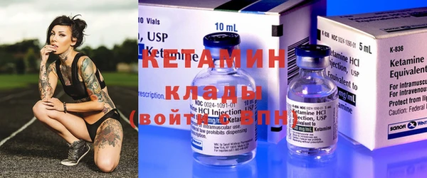 прущие грибы Балахна
