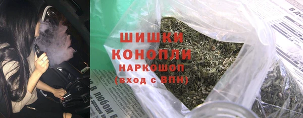 прущие грибы Балахна
